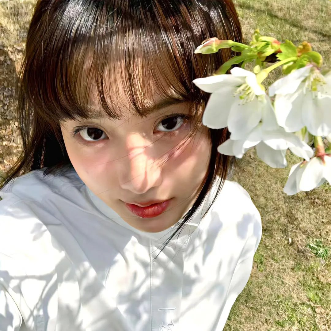 那年花开月正圆